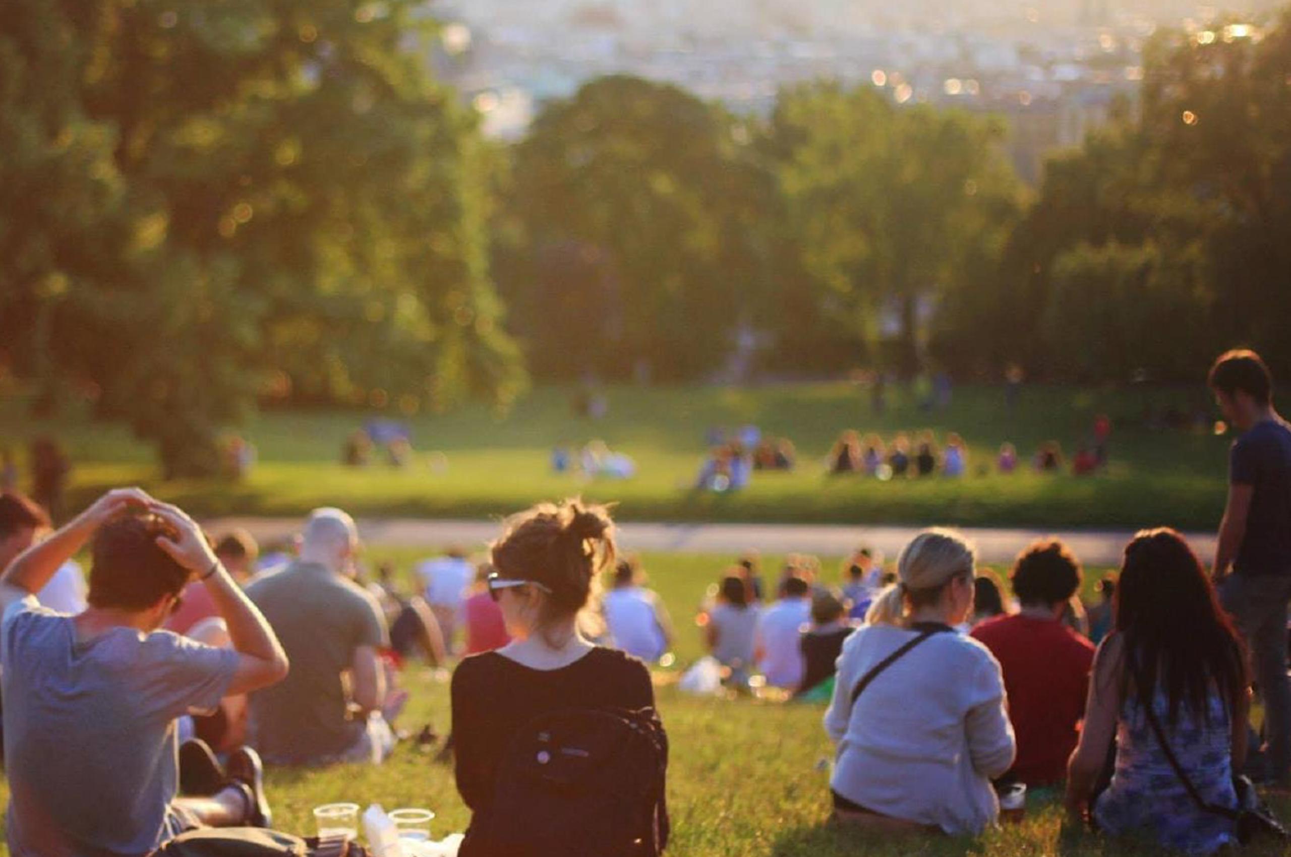 park, w którym na trawie siedzą osoby - ich twarze zwrócone są w stronę horyzontu - rozmawiają